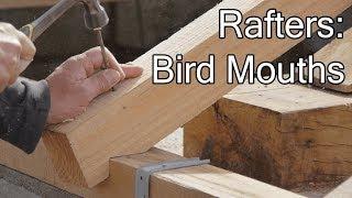 DIY ROOF:  RAFTER'S BIRD MOUTHS