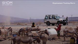 Ethiopia: Using Data to Strengthen Emergency Response