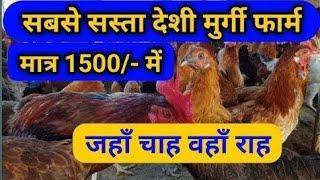 देसी मुर्गा की सर्दियों में देखभाल कैसे करें सम्पूर्ण जानकारी | Desi Murgi Farm Free Range Area Me