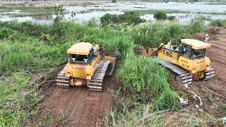 Top Excellence Technique for SHANTUI Bulldozer Operators Revealed!, Bulldozer Brush Clearing