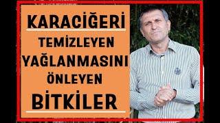 Karaciğeri Temizleyen I Karaciğer Yağlanmasını Önleyen Bitkiler I Kürler I Besinler