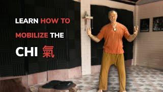 Learn How To Mobilize the Chi • Elastic Force Chi Kung