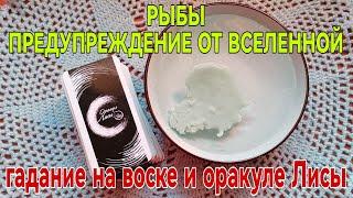  РЫБЫ ПРЕДУПРЕЖДЕНИЕ ОТ ВСЕЛЕННОЙ  гадание на воске + оракул Лисы #таро #времяволшебства