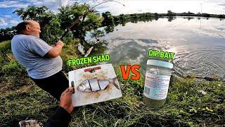 Battle of The Baits! (Bank Fishing)