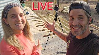 7PM LIVE! Tiny House BUILDING is going AWESOME!