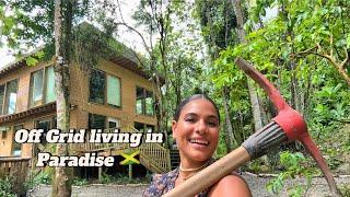 Portland Jamaica  off grid wood house living.