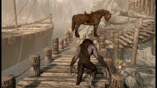 Skyrim Funny Moments Montage
