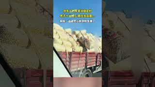 貨車上的零食沒固定好，男子十分擔心地跟在車後面，網友：這怎麽就到妳車裏了
