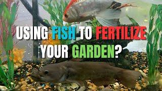  The Ultimate Guide to Fertilizing Your Garden with Aquarium Water! 