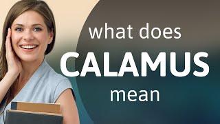 Calamus | what is CALAMUS meaning