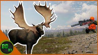 Hunting In Gods Country With The 375 Magnum! Call Of The Wild