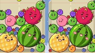 WATERMELON DROP || FINALLY I REACH THE  HIGHEST SCORE.