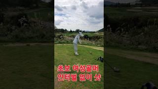 초보 여성 골퍼 인터벌 없는 거침없는 샷 #shorts #영웅 #골프 #golf #초보골퍼 #주말골퍼 #여성골퍼 #백순이 #백돌이 #드라이버 #아이언