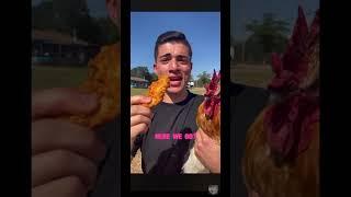 The chicken did what?! #shorts #reaction