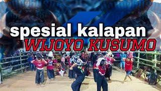 kalapan gayeng wijoyo kusumo ‼️live di wonoagung tengah