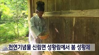 2024. 5. 14 [원주MBC] 천연기념물 원주 신림 성황림에서 봄 성황제