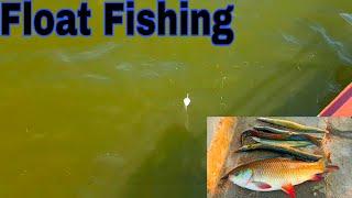 Float Fishing For Beginners | Incredible Baam Fishing | Single Hook Fishing | And Rohu Fishing