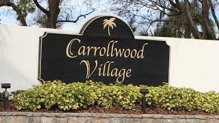 Carrollwood Village Community Tour