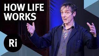 What is life and how does it work? - with Philip Ball