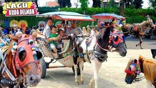 KUDA DELMAN ISTIMEWA ‼️ KUMPULAN LAGU NAIK KUDA DELMAN 2024 | KUDA | NAIK KUDA | KUDA DELMAN | HORSE