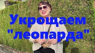 VLOG#168 Как носить леопардовый принт взрослым девочкам. Какие цвета сочетаются с "леопардом"?