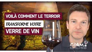 Voilà comment le LIEU influence votre verre de vin