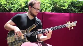 Voyager - The Domination Game Bass Playthrough