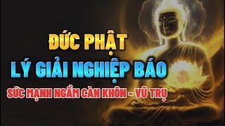 Đức Phật lý giải Nghiệp Báo - Nghe để CHUYỂN HÓA NGHIỆP BÁO