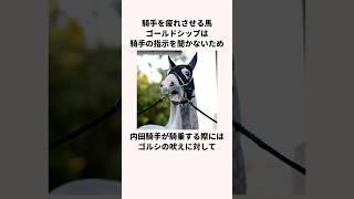 「騎手を疲れさせる馬」ゴールドシップについての雑学