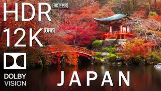 12K HDR 60FPS DOLBY VISION - JAPAN THE LAND OF THE RISING SUN - TRUE CINEMATIC