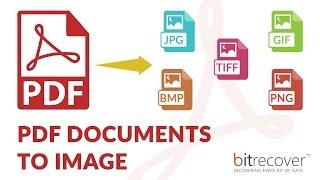 BitRecover PDF to Image Wizard - Batch Save PDF files to JPG/PNG/GIF/BMP/TIFF Without losing Quality