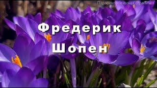 Фредерик Шопен  Прелюдия №4 ми минор  Классическая музыка, музыка для души