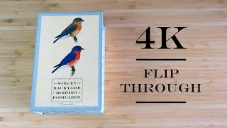 Sibley Backyard Birding Postcards 100 pcs - 4K Flip Through