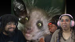 Casual Geographic: The Ugliest Creature In The World | REACTION ft Chavezz