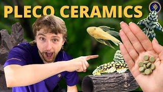 Pleco Ceramics: The Ultimate Guide to Ceramic Hides, Premium Plecos & Nutritious Foods