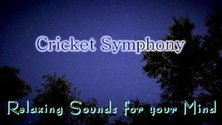  NATURE SOUNDS for Relaxing, Meditation & Sleep... Night Time Cricket Sounds