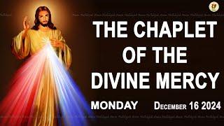 Chaplet of the Divine Mercy I Monday December 16 2024 I Divine Mercy Prayer I 12.00 PM