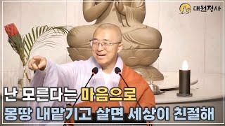 [29] 난 모른다는 마음으로 내맡기고 살면 세상이 친절해 진다