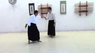 Stanley Pranin talks of relaxation and positioning at aikido seminar in Mexico