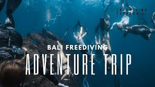 Freediving Adventure Trip Bali