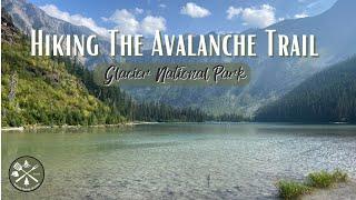 Hiking The Avalanche Trail | Glacier National Park, MT 4K 