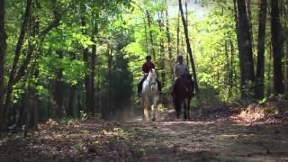 Three Runs Plantation - Equestrian Community in Aiken, South Carolina