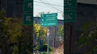 ￼ Qué camino tomar de la vida?