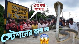 বিরাট সাপের ভয়ে বন্ধ অমৃত ভারত স্টেশনের কাজ! Cobra in Rail Station #snakesaverbrothers #viralnews