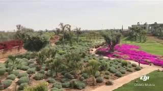 Villa Salem, Luxury property in Marrakech Palmeraie, Morocco