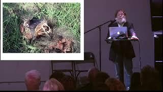 Being a Human Animal: The Biological Continuum - Robert Sapolsky