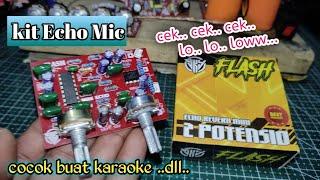 ECHO REVERB MINI 2 Potensio FLASH SKY || bagus juga lur