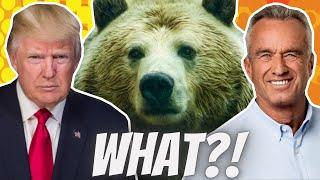 Stock Market Crash | Trump vs Kamala Odds & Polling | RFK Jr & The Dead Bear!