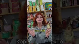 Омик (Ферула джунгарская): Лечебные свойства, рецепт настойки и противопоказания  #омик