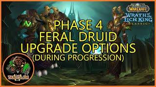 Feral Tier 10 Upgrade Order (Analysis & Outlook) | FERAL DRUID WORKSHOP | WRATH CLASSIC